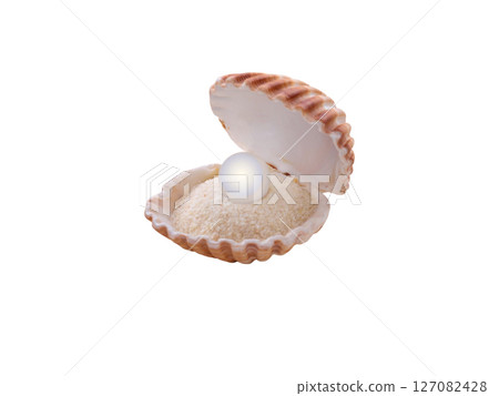 Shell with a pearl isolated on white background 127082428