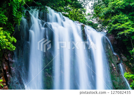 Maruo Falls with fresh greenery [Kirishima City, Kagoshima Prefecture] 127082435