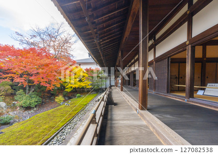 Kyoto Shokokuji Temple: The Kaisando Garden "Ryubuchi Water Garden" is in full bloom with autumn leaves 127082538
