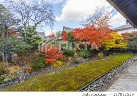 Kyoto Shokokuji Temple: The Kaisando Garden "Ryubuchi Water Garden" is in full bloom with autumn leaves Kyoto Shokokuji Temple: The Kaisando Garden "Ryubuchi Water Garden" is in full bloom with autumn leaves 127082539
