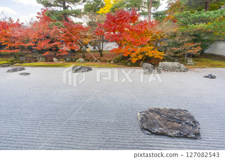 Kyoto Shokokuji Temple: The Kaisando Garden "Ryubuchi Water Garden" is in full bloom with autumn leaves Kyoto Shokokuji Temple: The Kaisando Garden "Ryubuchi Water Garden" is in full bloom with autumn leaves 127082543
