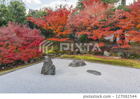 Kyoto Shokokuji Temple: The Kaisando Garden "Ryubuchi Water Garden" is in full bloom with autumn leaves Kyoto Shokokuji Temple: The Kaisando Garden "Ryubuchi Water Garden" is in full bloom with autumn leaves 127082544
