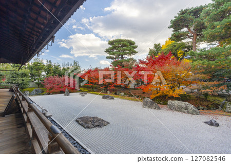 Kyoto Shokokuji Temple: The Kaisando Garden "Ryubuchi Water Garden" is in full bloom with autumn leaves 127082546