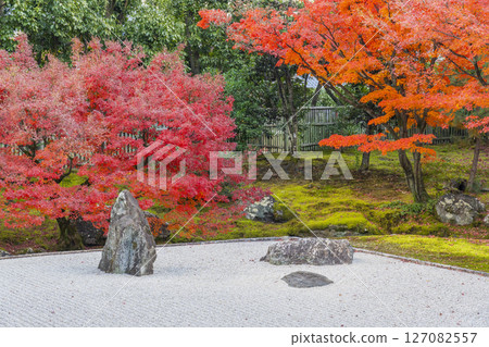 Kyoto Shokokuji Temple: The Kaisando Garden "Ryubuchi Water Garden" is in full bloom with autumn leaves Kyoto Shokokuji Temple: The Kaisando Garden "Ryubuchi Water Garden" is in full bloom with autumn leaves 127082557