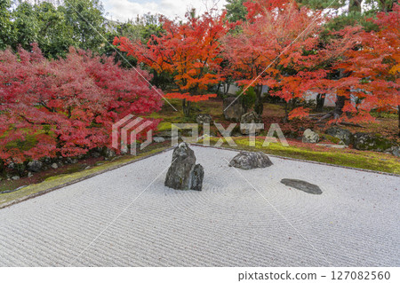 Kyoto Shokokuji Temple: The Kaisando Garden "Ryubuchi Water Garden" is in full bloom with autumn leaves 127082560