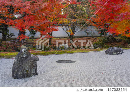 京都相國寺：開山堂「龍淵水庭」秋葉盛開 127082564