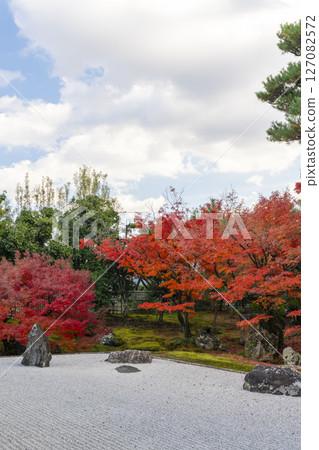 京都相國寺:開山堂「龍淵水庭」秋葉盛開 京都相國寺:開山堂「龍淵水庭」秋葉盛開 127082572