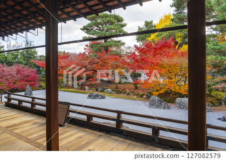 Kyoto Shokokuji Temple: The Kaisando Garden "Ryubuchi Water Garden" is in full bloom with autumn leaves Kyoto Shokokuji Temple: The Kaisando Garden "Ryubuchi Water Garden" is in full bloom with autumn leaves 127082579