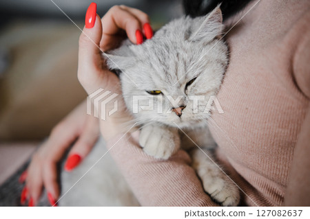 A woman is lovingly stroking a short-haired cat A woman is lovingly stroking a short-haired cat 127082637