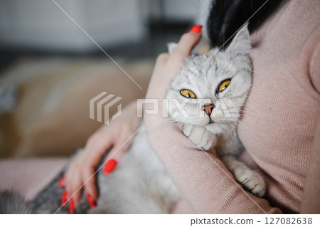 The woman makes slow, gentle movements and strokes the gray cat 127082638