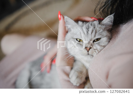 A woman is sitting on the couch with a gray cat in her arms 127082641