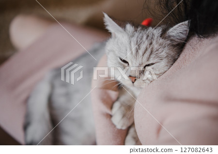 A young woman holds a gray cat in her arms 127082643