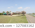 A park with blue spring skies and blooming cherry blossoms 127083162