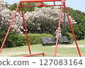 A park with blue spring skies and blooming cherry blossoms 127083164