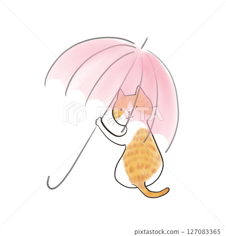 送我傘的貓-野雞色雨傘5 送我傘的貓-野雞色雨傘5 127083365