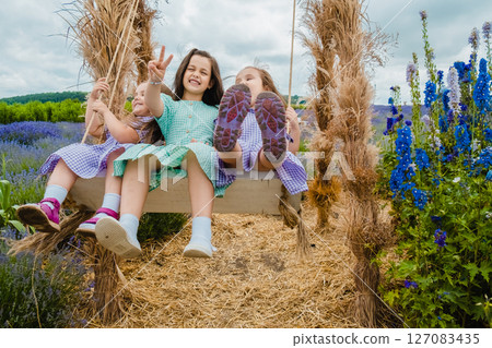 The lavender field creates a fabulous landscape 127083435