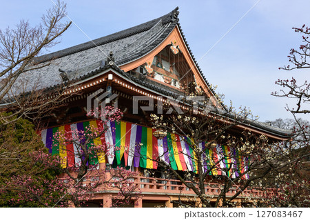 Chishakuin Red Plum White Plum 127083467