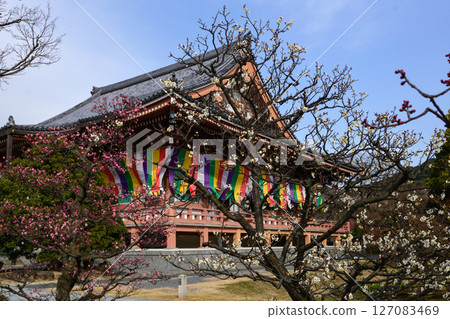 Chishakuin Red Plum White Plum Chishakuin Red Plum White Plum 127083469