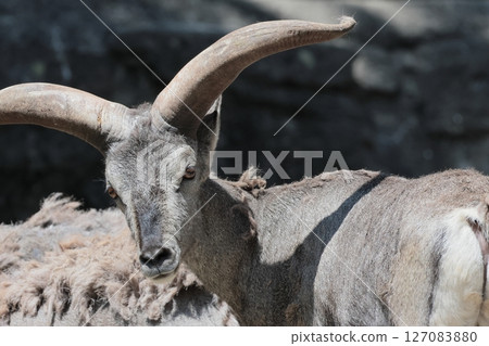 Sue Cho Varal Sue Cho Varal 127083880