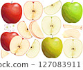 Red apples, green apples, pears cut in various ways, and apple flowers/Fruit illustration material 127083911