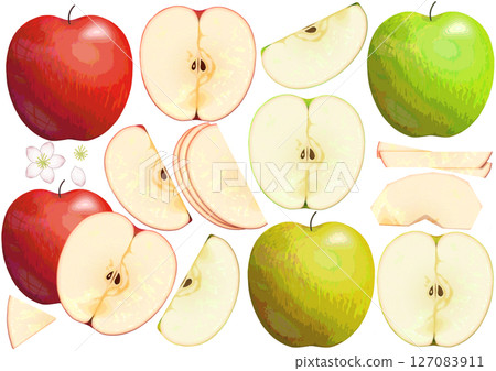 紅蘋果、青蘋果、各種切法的梨子、蘋果花/水果插畫素材 紅蘋果、青蘋果、各種切法的梨子、蘋果花/水果插畫素材 127083911