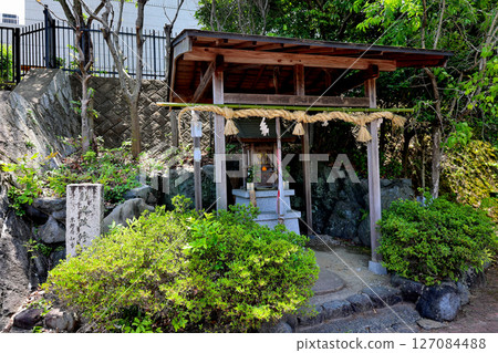 長岡京市八大龍王神社,長法寺祭祀神 長岡京市八大龍王神社,長法寺祭祀神 127084488