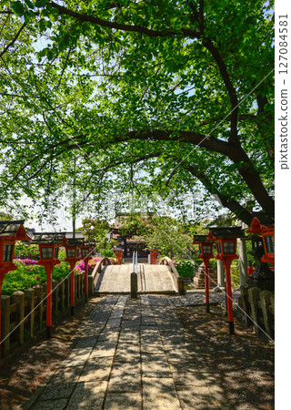 六孫王神社：新綠 127084581
