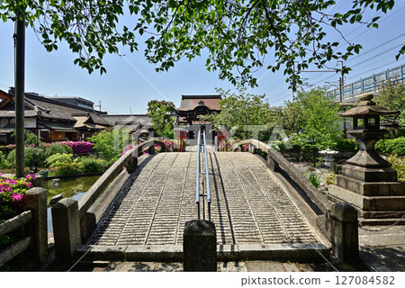 Rokusonno Shrine: Fresh greenery Rokusonno Shrine: Fresh greenery 127084582