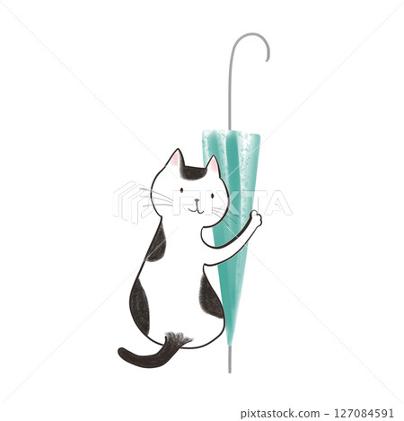 送我傘的貓 - 藍色竹傘 6 127084591