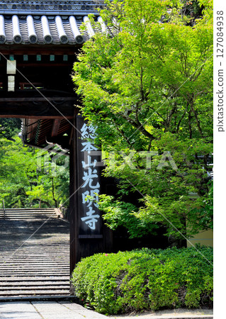 Ao Momiji - Enjoy the fresh green leaves of autumn at Komyo-ji Temple in Nagaokakyo, Kyoto 127084938