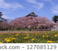 Sakura in full bloom and Matsumae Castle 127085129