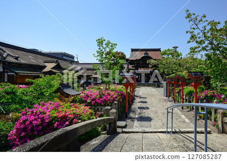 六孫王神社杜鵑花 六孫王神社杜鵑花 127085287