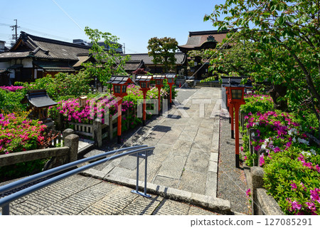 六孫王神社杜鵑花 127085291