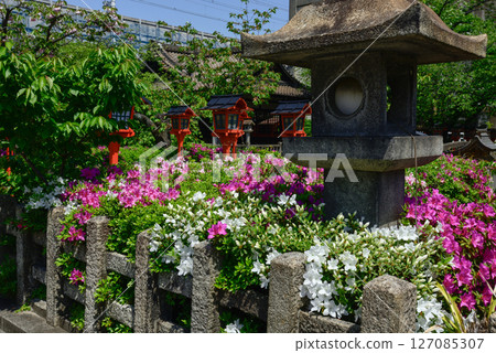 Rokusonno Shrine Azalea Rokusonno Shrine Azalea 127085307