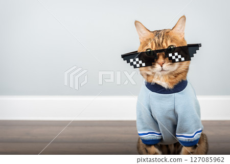 Bengal cat wearing pixelated glasses. 127085962