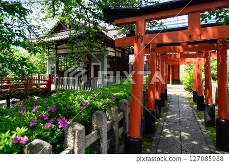 六園野神社的分社:陸野稻荷神社與山吹 六園野神社的分社:陸野稻荷神社與山吹 127085988