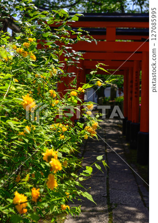 Mutsuno Inari Shrine and Yamabuki, sub-shrines of Rokusonno Shrine Mutsuno Inari Shrine and Yamabuki, sub-shrines of Rokusonno Shrine 127085995