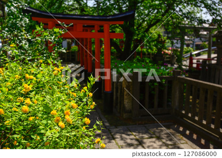 Mutsuno Inari Shrine and Yamabuki, sub-shrines of Rokusonno Shrine Mutsuno Inari Shrine and Yamabuki, sub-shrines of Rokusonno Shrine 127086000