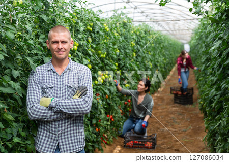 Collective picking of tomatoes 127086034