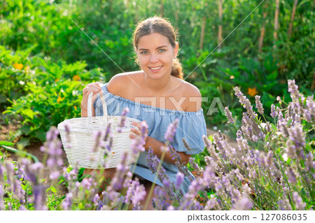 Woman and lavender shrub Woman and lavender shrub 127086035