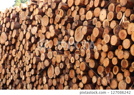 木材場、原木、疏伐材、木材堆 127086242