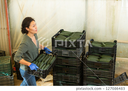 Asian with boxes of cucumbers 127086483