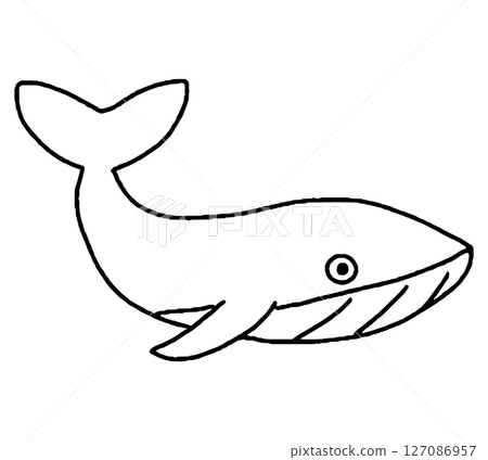 鯨魚手繪插圖 鯨魚手繪插圖 127086957