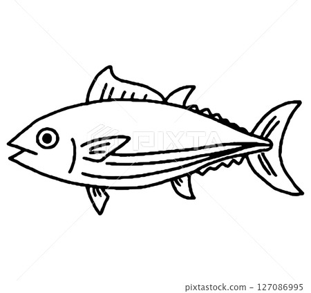 Hand-drawn illustration of bonito Hand-drawn illustration of bonito 127086995