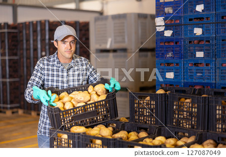 Worker stacking crates of potatoes in warehouse 127087049