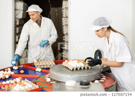 Focused young woman and man farmer workers in white coat sorting and labeling chicken eggs, putting eggs to special trays Focused young woman and man farmer workers in white coat sorting and labeling chicken eggs, putting eggs to special trays 127087154