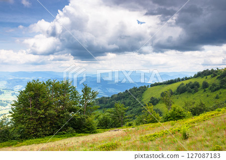 deciduous trees on the green hillside. alps of ukraine. scenery with forested hills of carpathian mountains. scenic view from borzhava ridge on a cloudy day. transcarpathia travel landscape in summer 127087183
