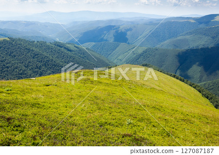 rolling scenery with grassy alpine meadow. smooth grassy highland. scenic carpathian mountain landscape of borzhava ridge. popular travel destination of ukraine on a sunny day in summer 127087187