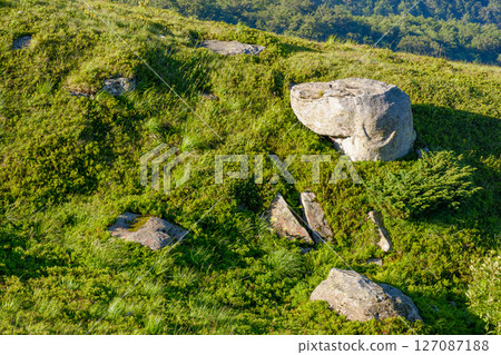 pile of rock boulder on the grassy slope. limestone boulders in morning light 127087188