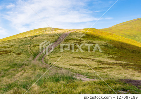 green mountain landscape with trail for hiking. path through highland meadow on nature hill to the top for outdoor travel and beautiful view. alpine tourism scenery in summer with sky and cloud 127087189